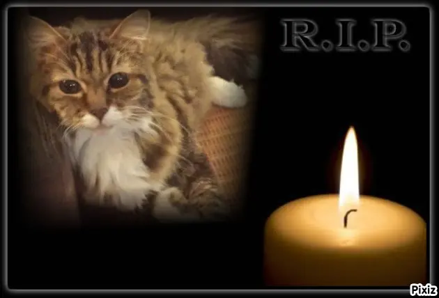 Andachtsbild von Tanja mit Timmy im Herzen 