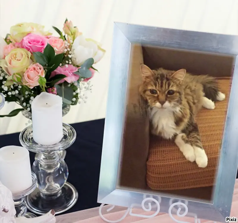 Andachtsbild von Tanja mit Timmy im Herzen 