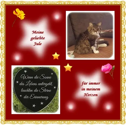 Andachtsbild von deiner Ilse in Liebe zum 69. Monatsgedenken