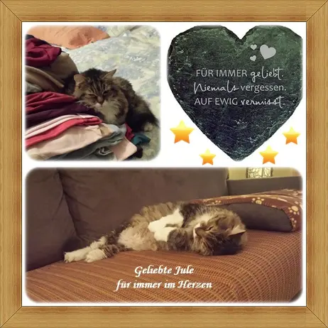 Andachtsbild von deiner Ilse in Liebe zum 70. Monatsgedenken