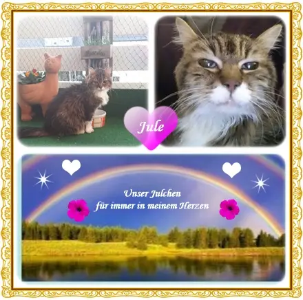 Andachtsbild von deiner Ilse in Liebe zum 71. Monatsgedenken