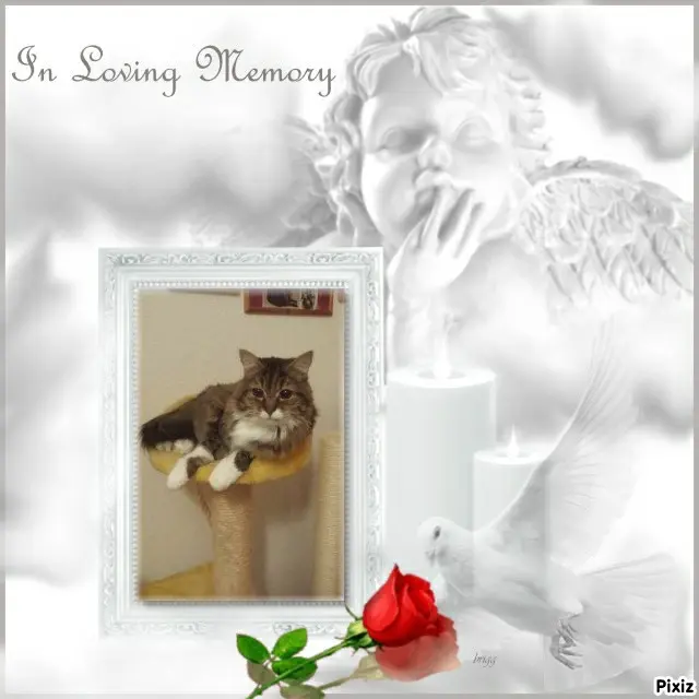 Andachtsbild von Tanja mit Timmy im Herzen