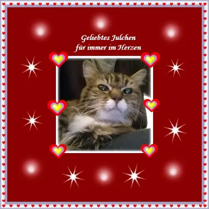 Andachtsbild von deiner Ilse in Liebe zum 6. Jahresgedenken