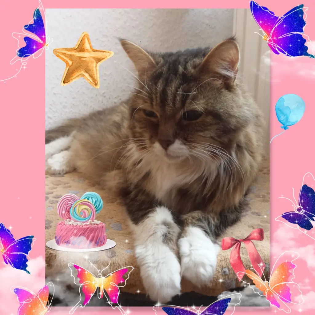 Andachtsbild von ❤️6. Sternchengeburtstag ❤️ Julepüppchen ❤️