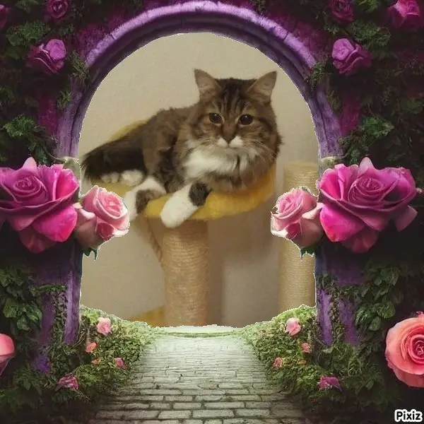 Andachtsbild von Tanja mit Timmy im Herzen