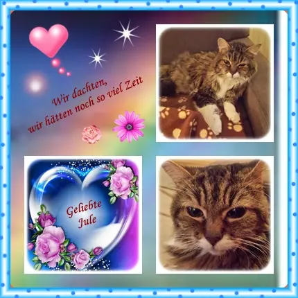 Andachtsbild von deiner Ilse in Liebe zum 77. Monatsgedenken