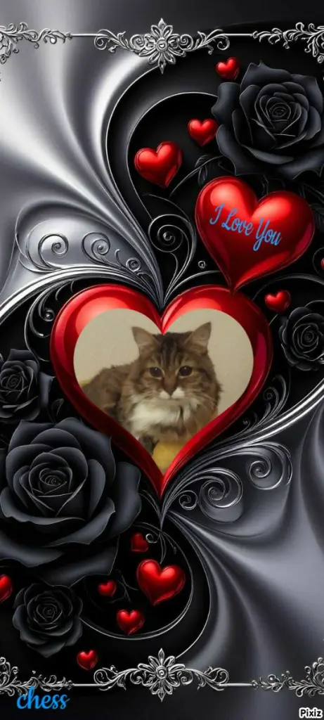 Andachtsbild von Tanja mit Timmy im ❤