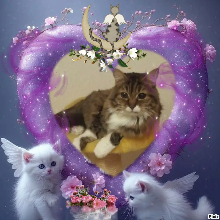 Andachtsbild von Tanja mit Timmy im 💘