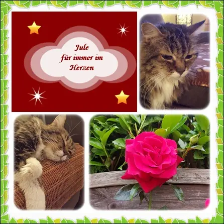 Andachtsbild von deine Ilse in Liebe zum 80. Monatsgedenken