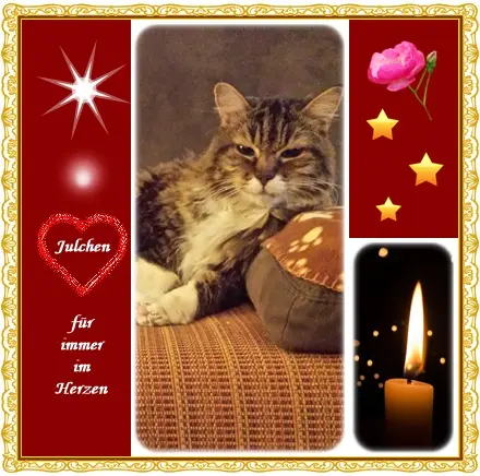 Andachtsbild von deine Ilse in Liebe zum 81. Monatsgedenken