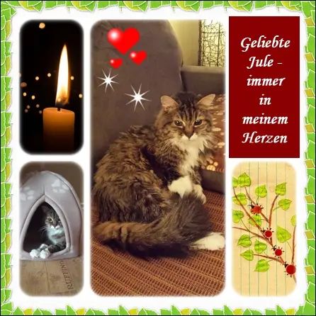 Andachtsbild von Deine Ilse in Liebe zum 82. Monatsgedenken