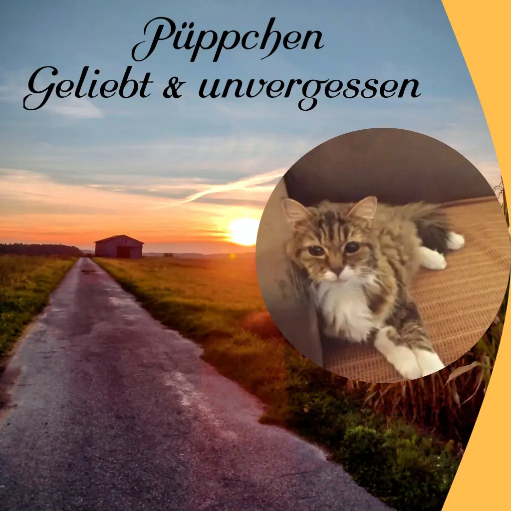 Andachtsbild von Corinna ❤️