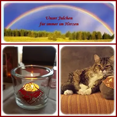 Andachtsbild von Für mein geliebtes Julchen zum 7. Jahresgedenken