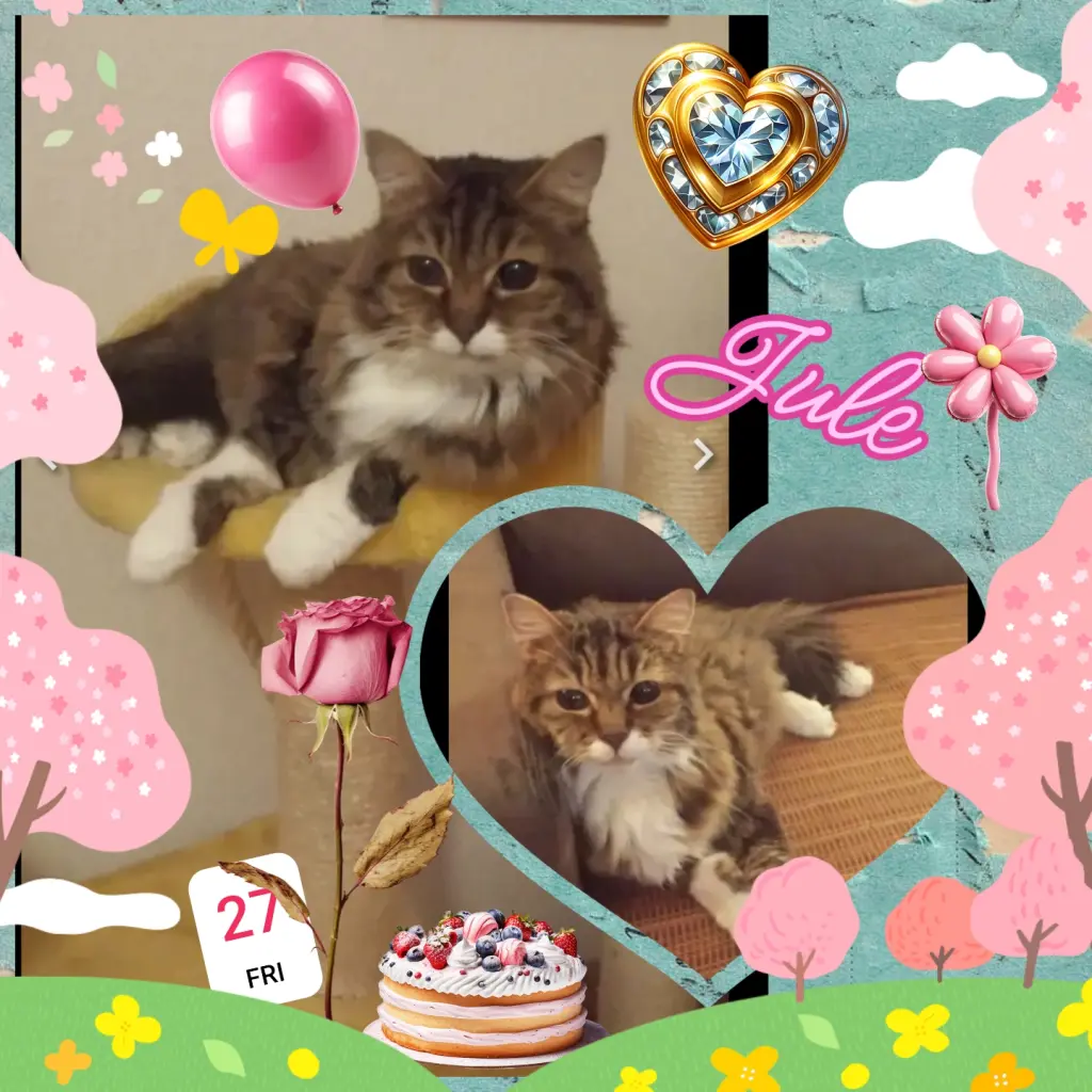 Andachtsbild von ❤️7. Sternchengeburtstag ❤️  Julchen❤️