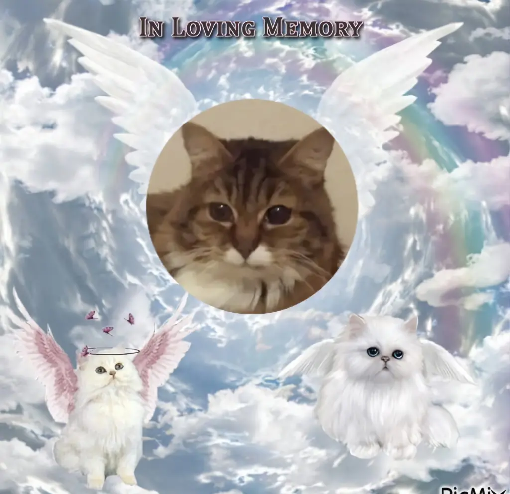 Andachtsbild von ❤️❤️❤️❤️❤️❤️❤️❤️❤️❤️❤️❤️❤️