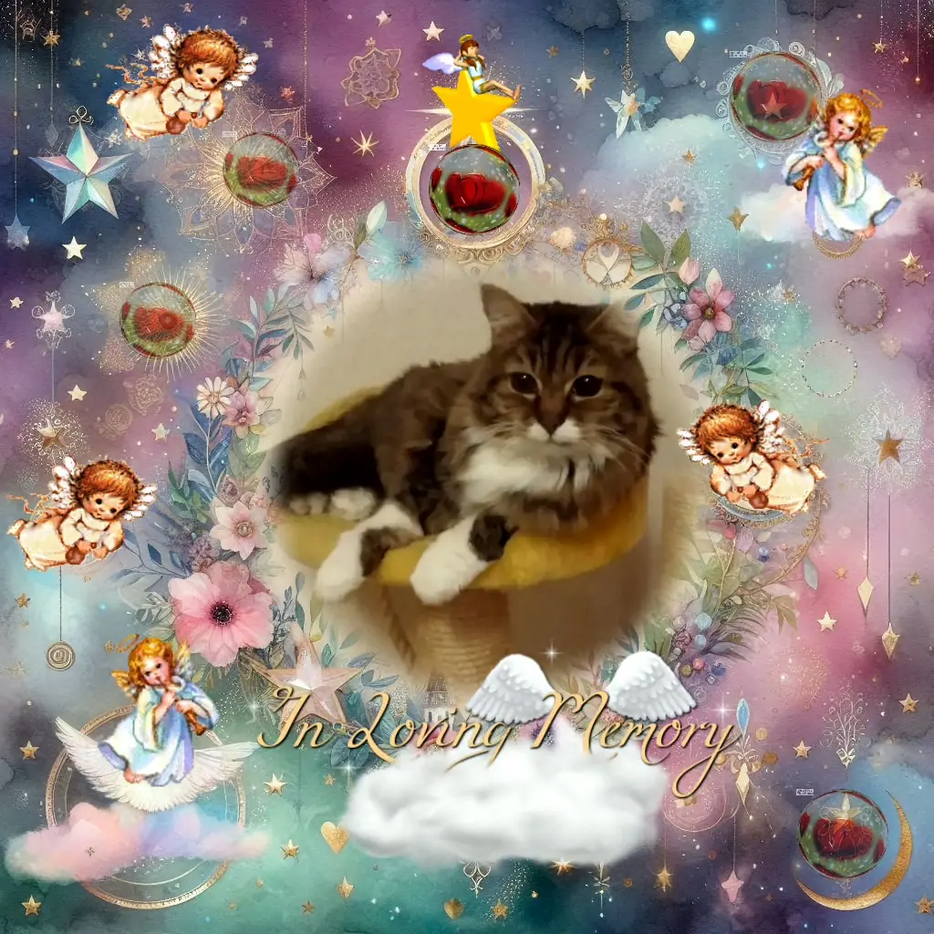 Andachtsbild von ❤️❤️❤️❤️❤️❤️❤️❤️❤️❤️