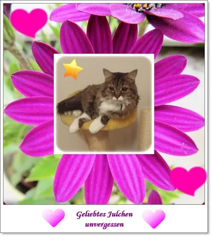 Condolence image of Deine Ilse in Liebe zum 86. Monatsgedenken