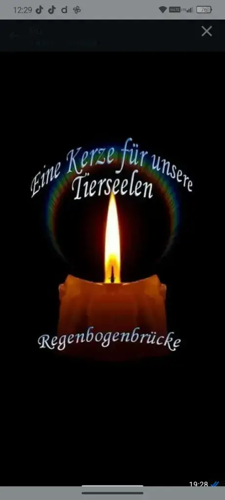 Condolence image of Corinna ❤️ für Oskar