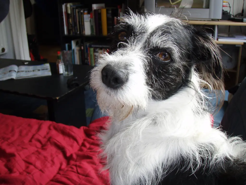 Image from Krümel