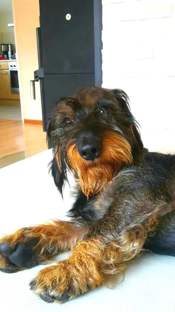 Condolence image of Pete