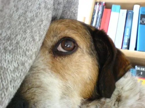 Image from Unbekannt
