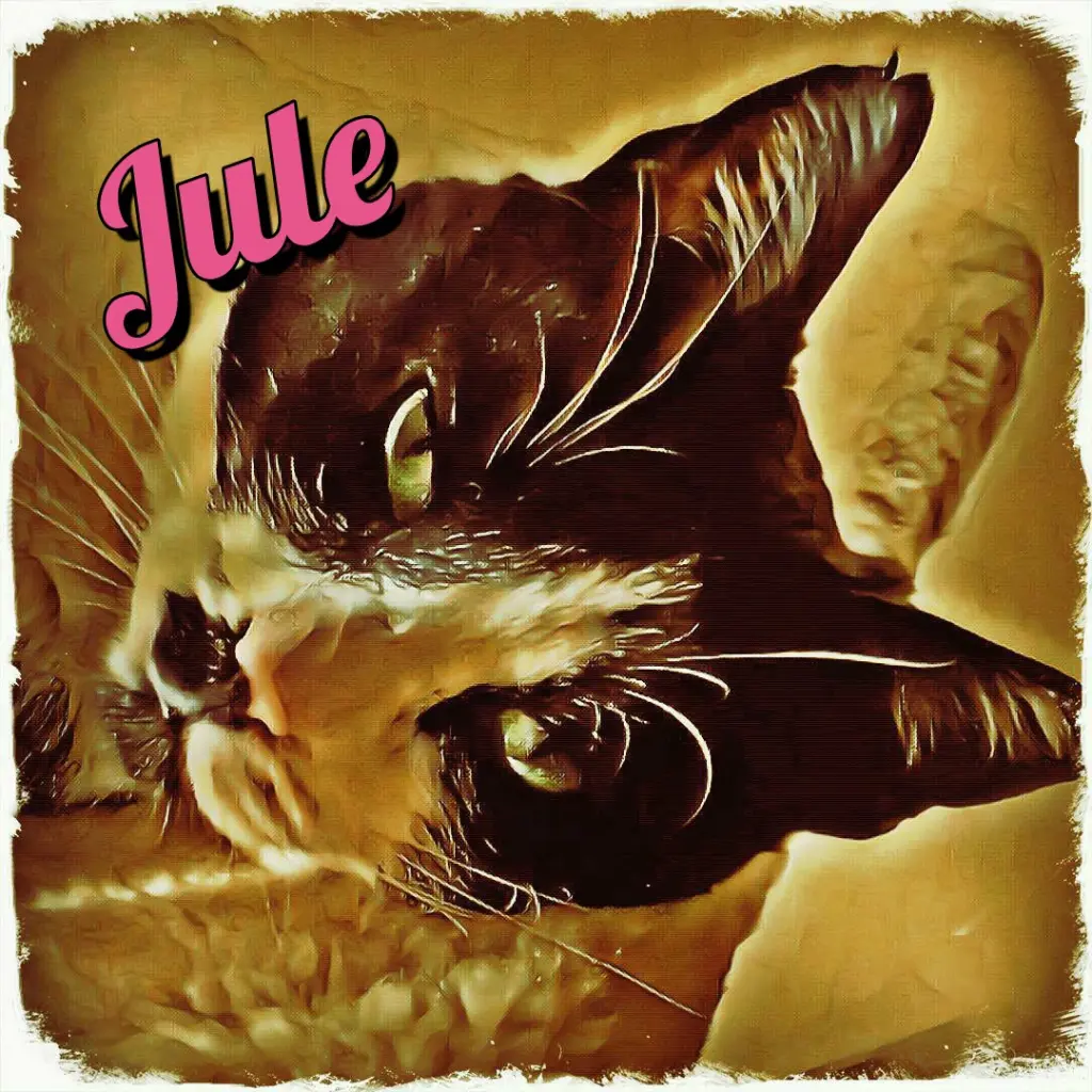 Condolence image of Jacqueline mit Jule und Nicki im Herzen