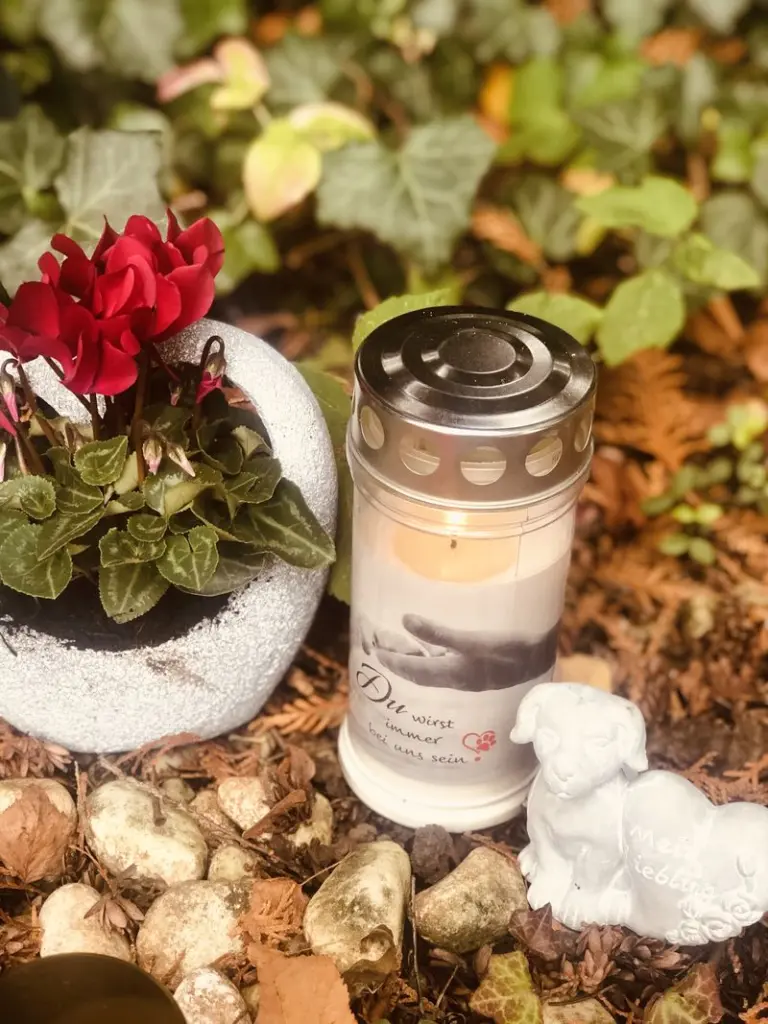 Condolence image of In Liebe Deine Familie