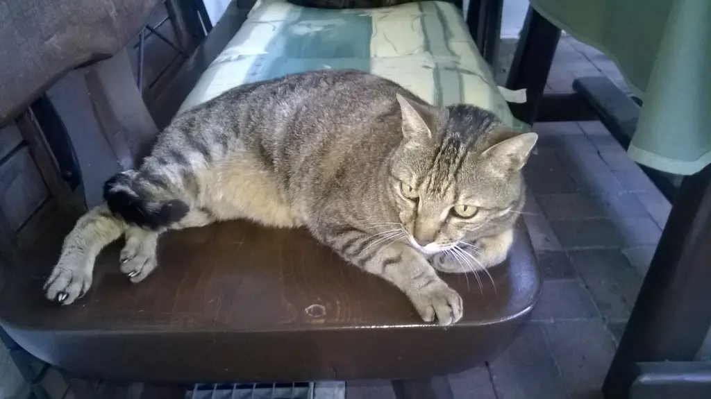 Image from Lucky