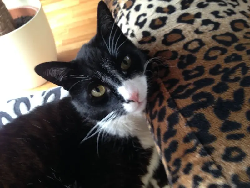 Condolence image of Sabine