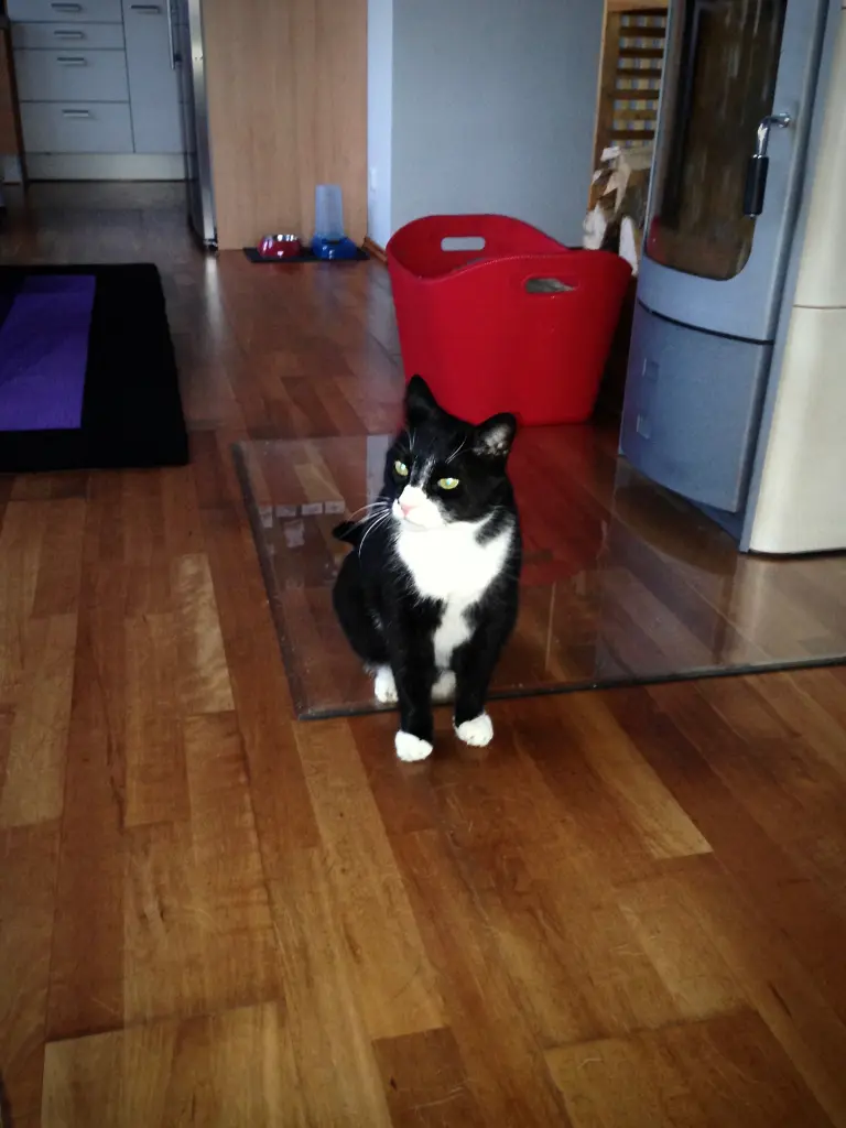 Image from Tom