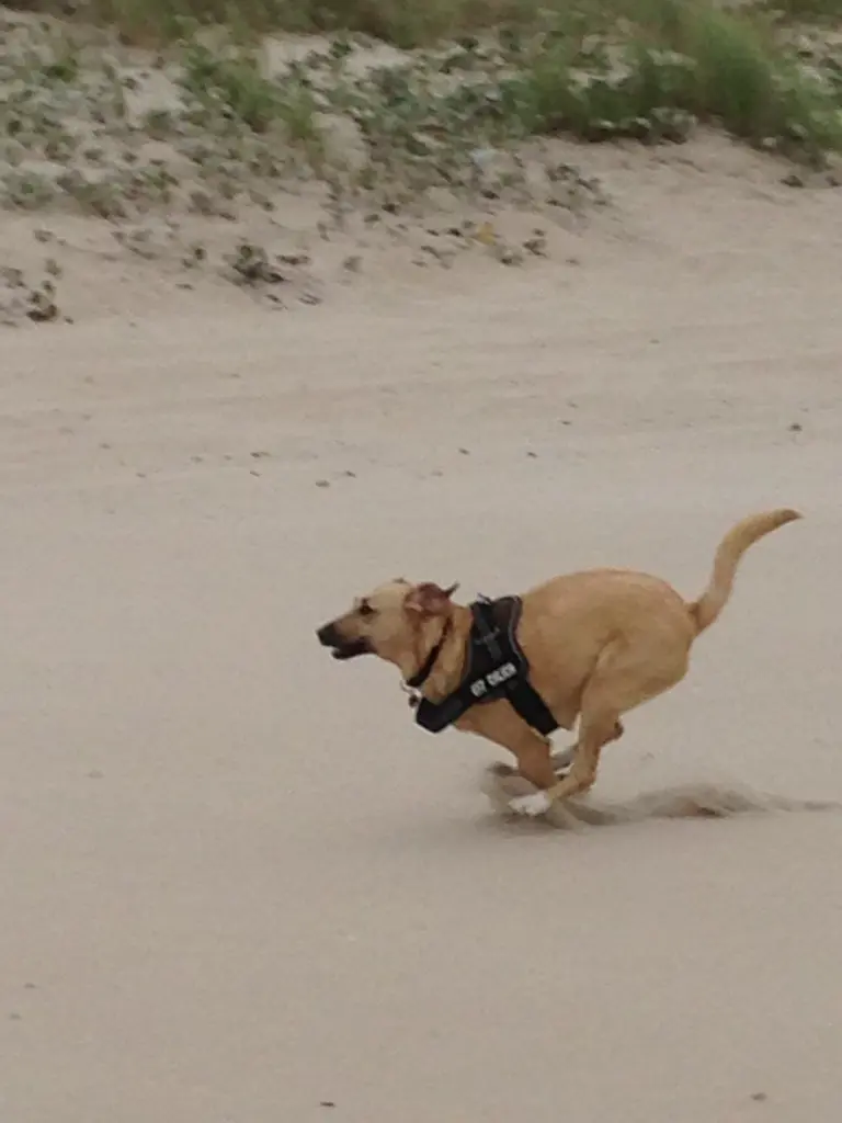 Image from Arwen