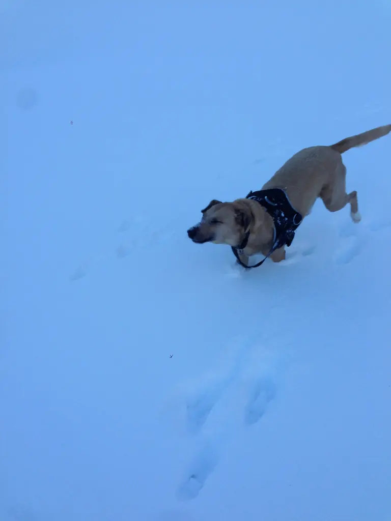 Image from Arwen