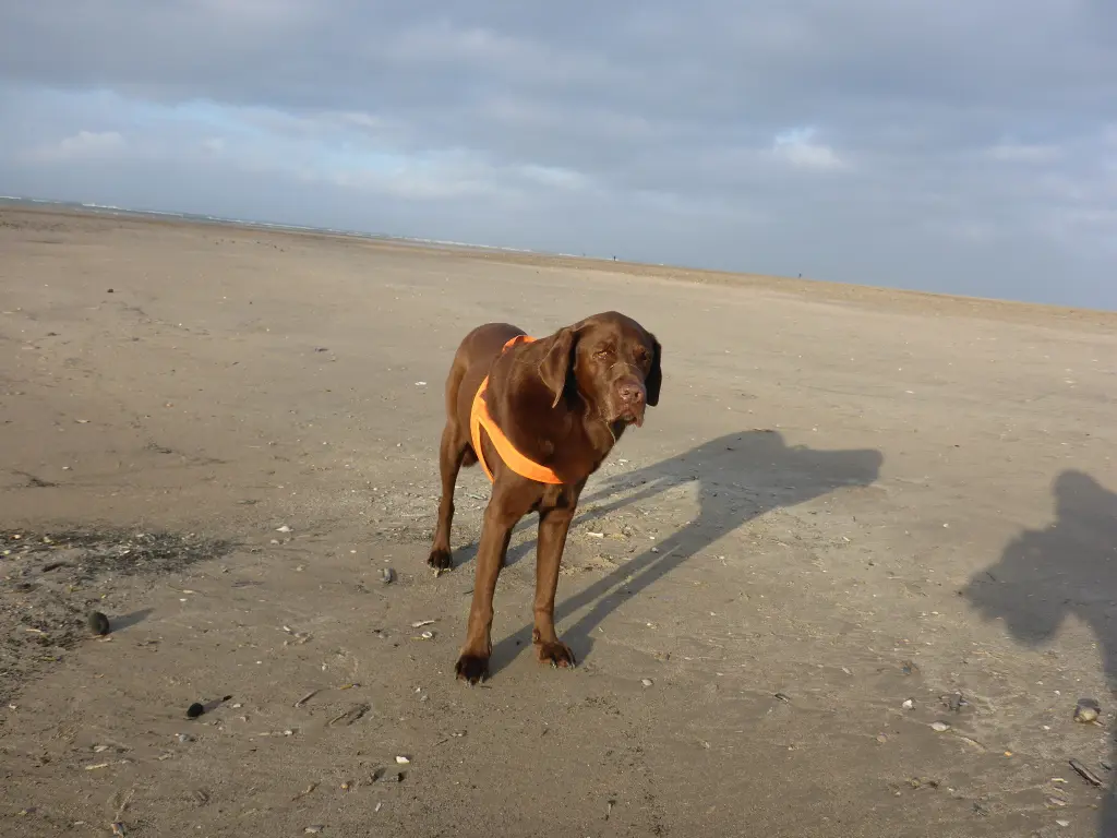 Condolence image of Maren