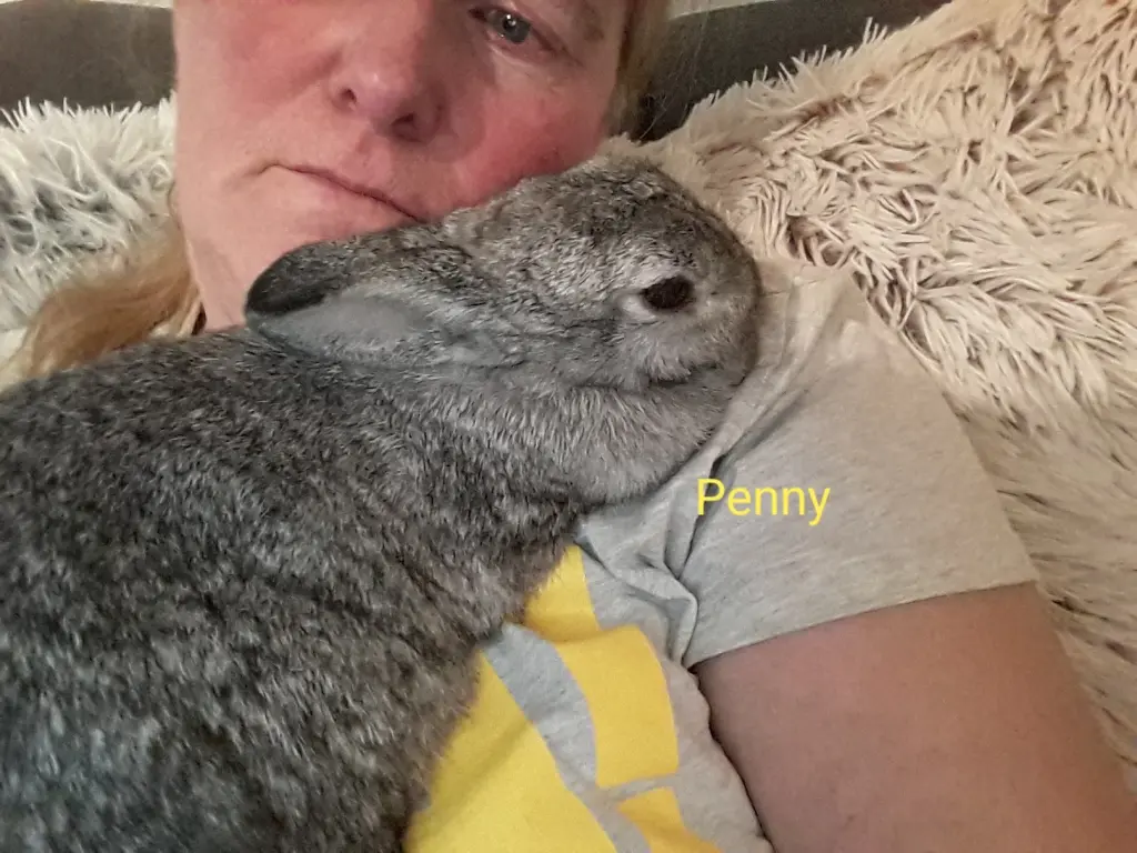 Bild von Penny * 10.09.2012 +22.03.2019 und Teddy *07.07.2016 +30.03.2019