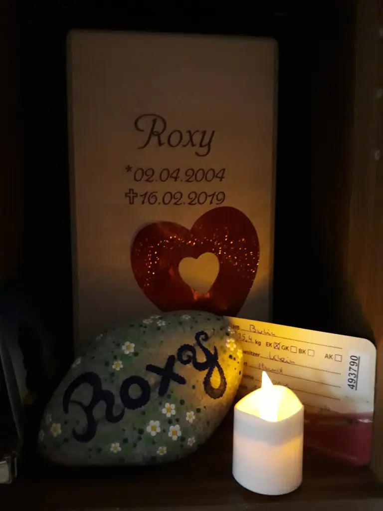 Image from ROXY