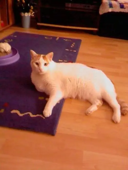 Bild von Blümchen (Buby)