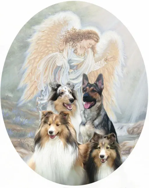 Condolence image of Klaudia mit Misiu❤❤❤
