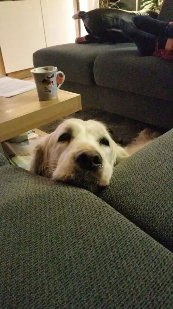 Andachtsbild von Joachim