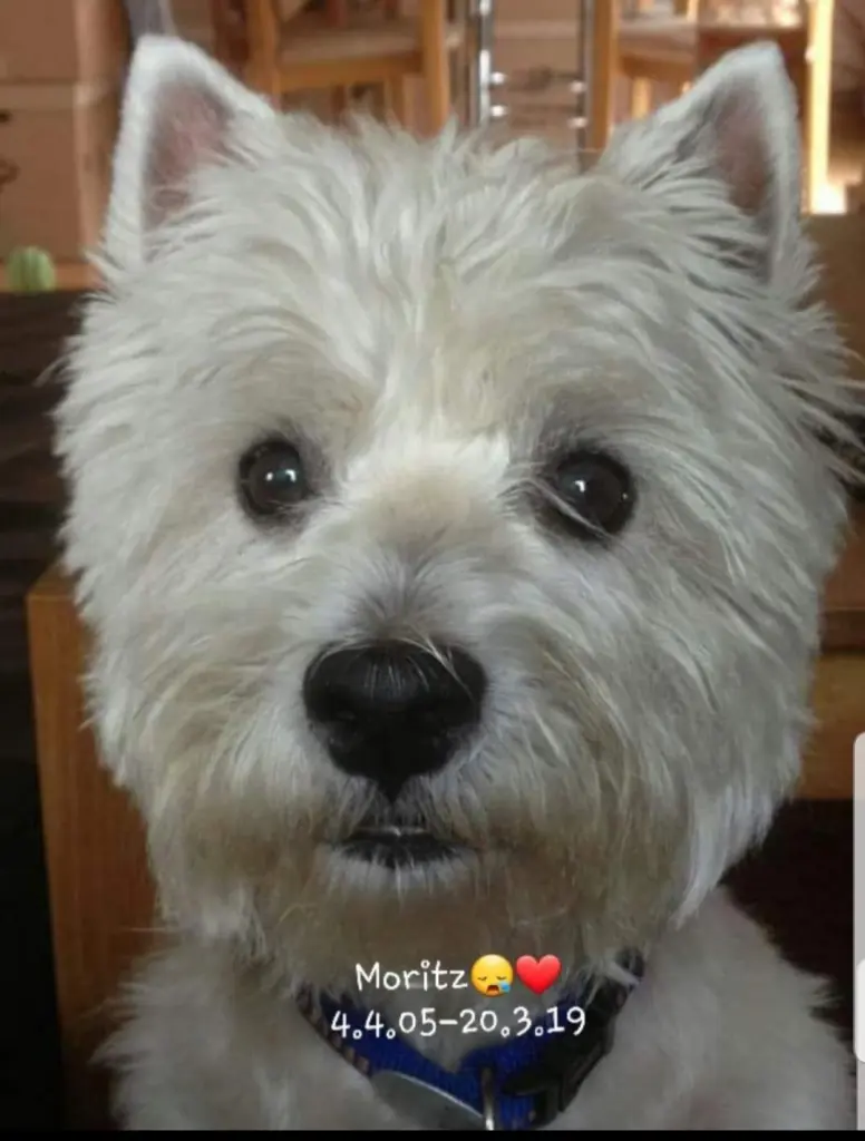 Condolence image of Daniela