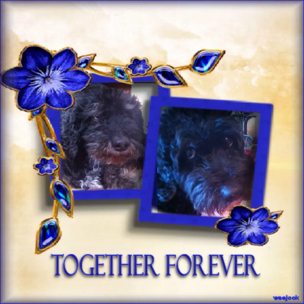 Condolence image of Tina Droste