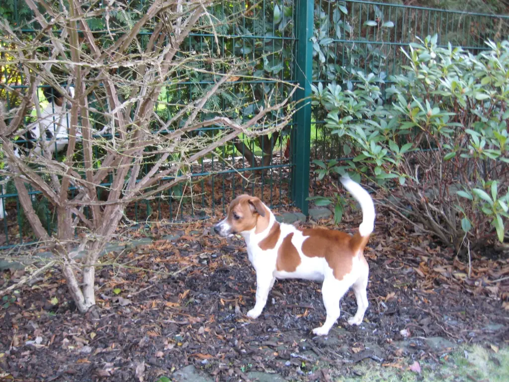 Andachtsbild von Natalie mit Maggy