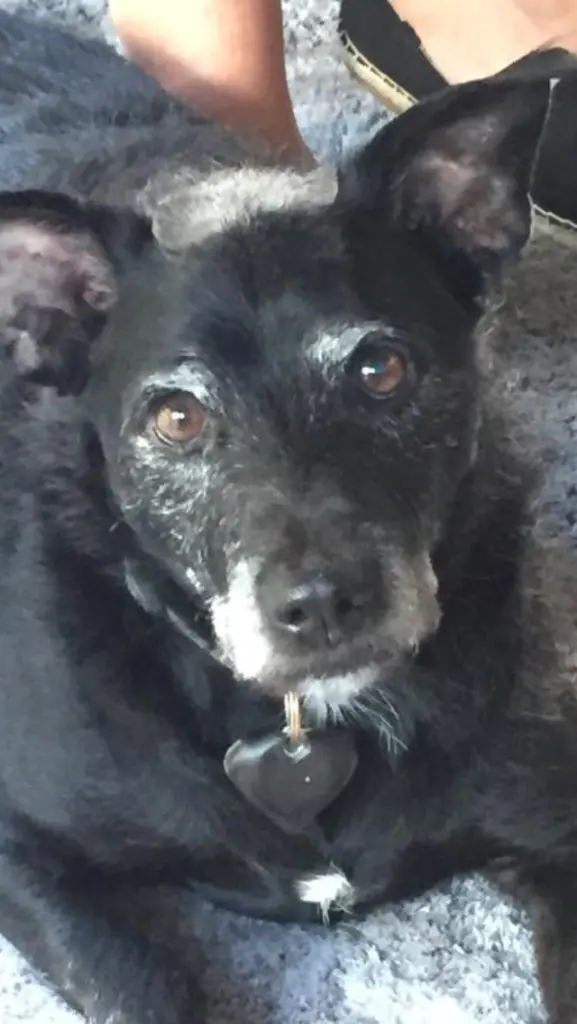 Andachtsbild von Manuela Voß