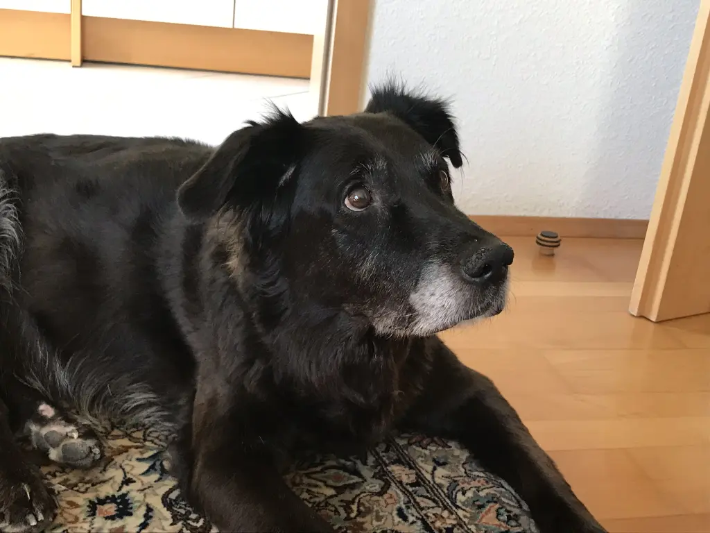 Bild von Pauline
