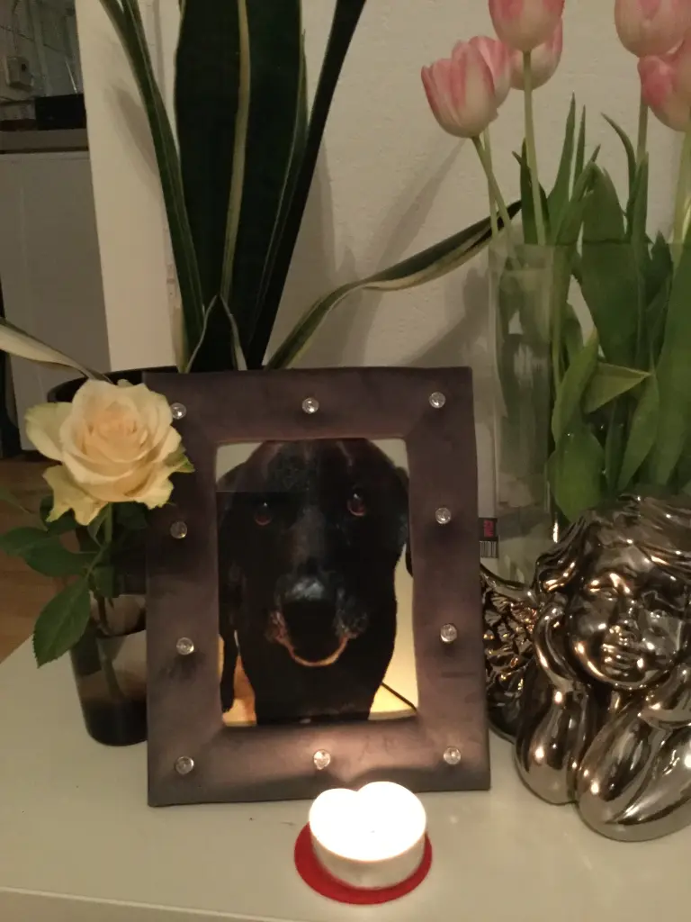 Condolence image of Unbekannt