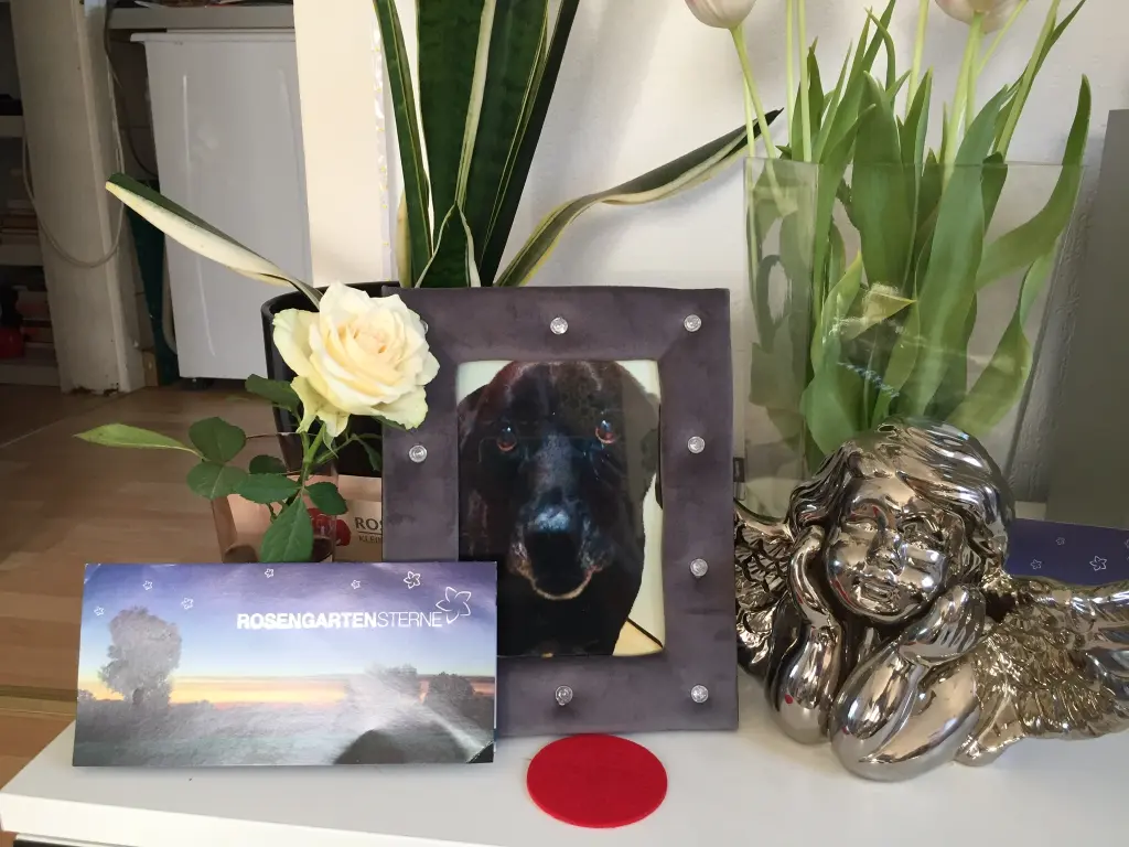 Condolence image of Unbekannt