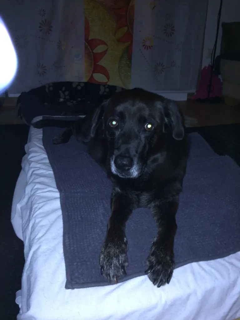 Image from Tassy