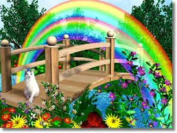 Condolence image of Helmut mit Benny im Herzen
