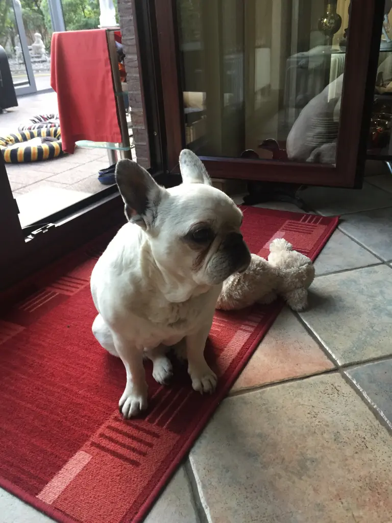 Image from Paula