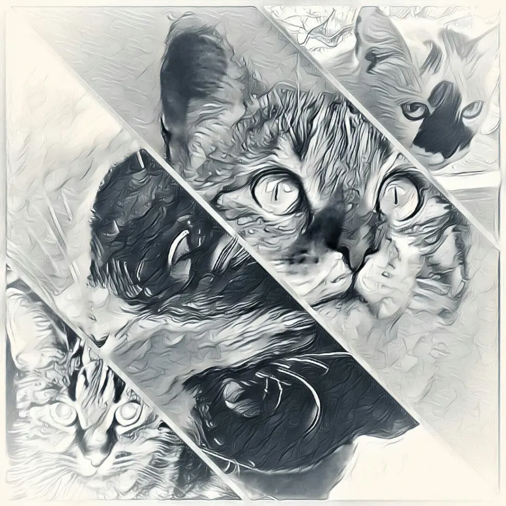 Condolence image of Jacqueline mit Jule und Nicki im Herzen