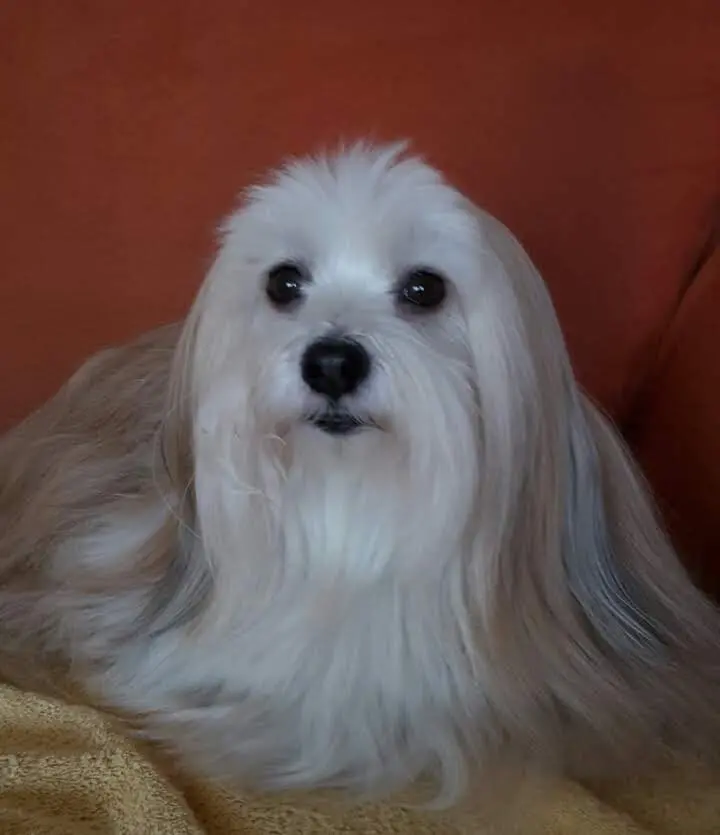 Condolence image of Roswitha